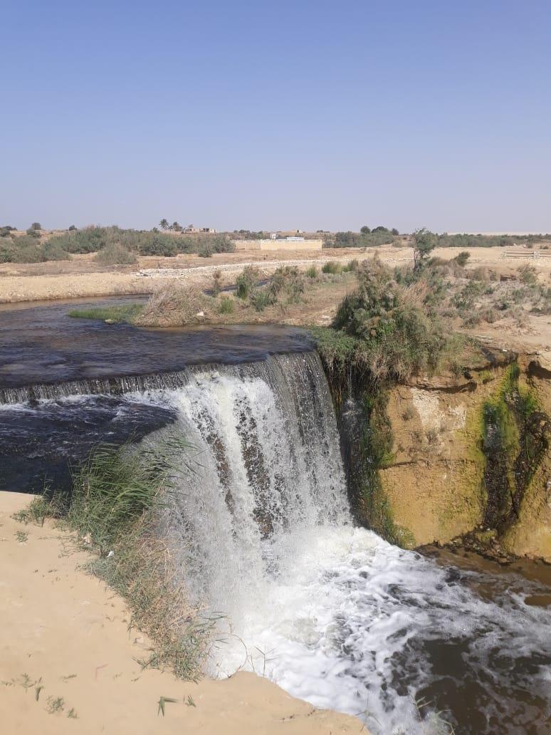 محمية وادي الريان