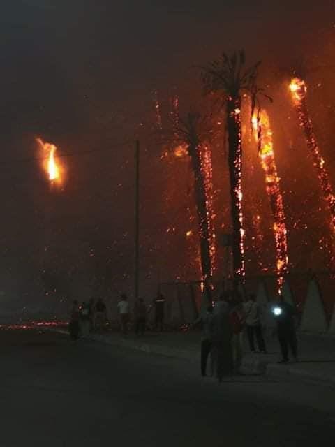 حريق هائل أمام حديقة الفسطاط