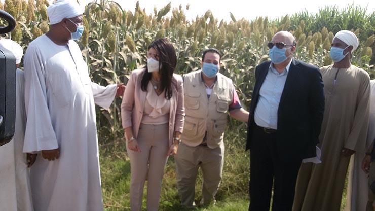 وزيرة التعاون الدولي والسفير الأمريكي يتفقدان المحاصيل البستانية بإسنا 