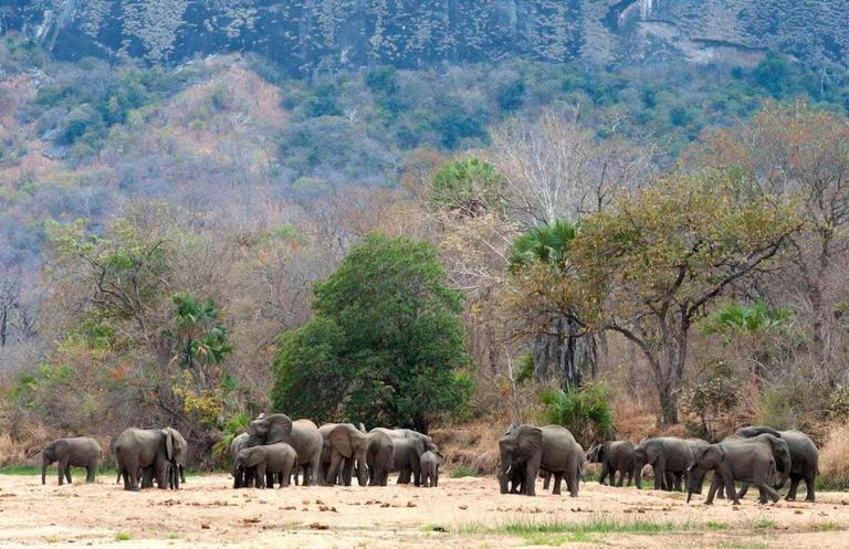 135-120626-lubombo-south-africa-elephant-sanctuary-5