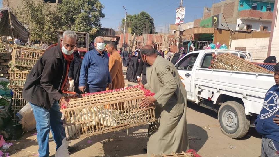 مصادرة الطيور الحية التى تم ضبطها بسوق الأربعاء