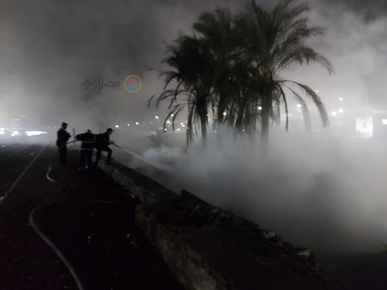حريق أشجار بمنطقة المعلمين في أسيوط  