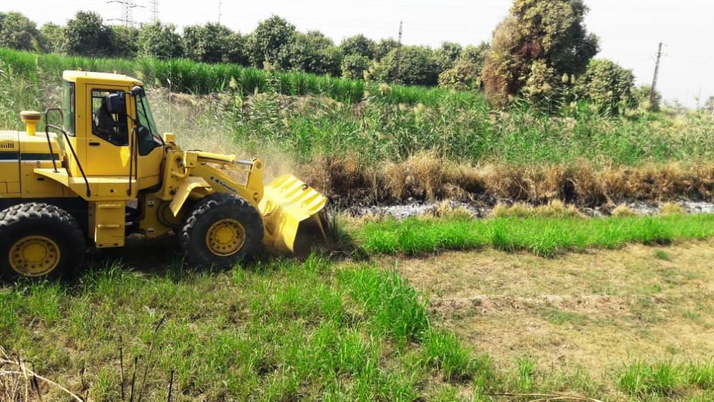 إزالة 100 حالة ضمن التعديات على الأراضي الزراعية وأملاك الدولة في أسوان