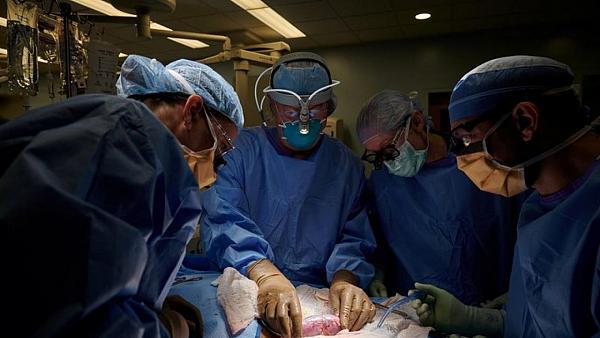 براءة 3 أطباء من التسبب في عاهة مستديمة لمريض كُلى في المنصورة 