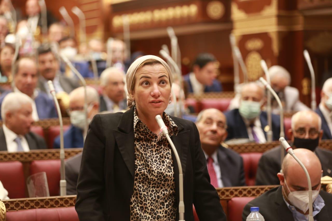 لماذا دافعت وزيرة البيئة عن قانون الموارد الإحيائية أمام "الشيوخ"؟ -صورة لماذا دافعت وزيرة البيئة عن قانون الموارد الإحيائية أمام "الشيوخ"؟ -صورة