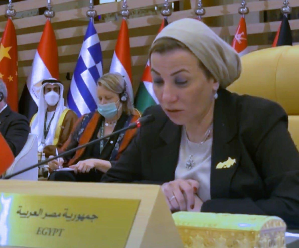 وزيرة البيئة: النمو الأخضر هو الحل الوحيد لاستدامة الحياه على الكوكب وزيرة البيئة: النمو الأخضر هو الحل الوحيد لاستدامة الحياه على الكوكب