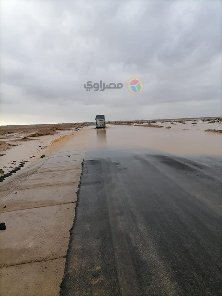 سيول في البحر الأحمر 