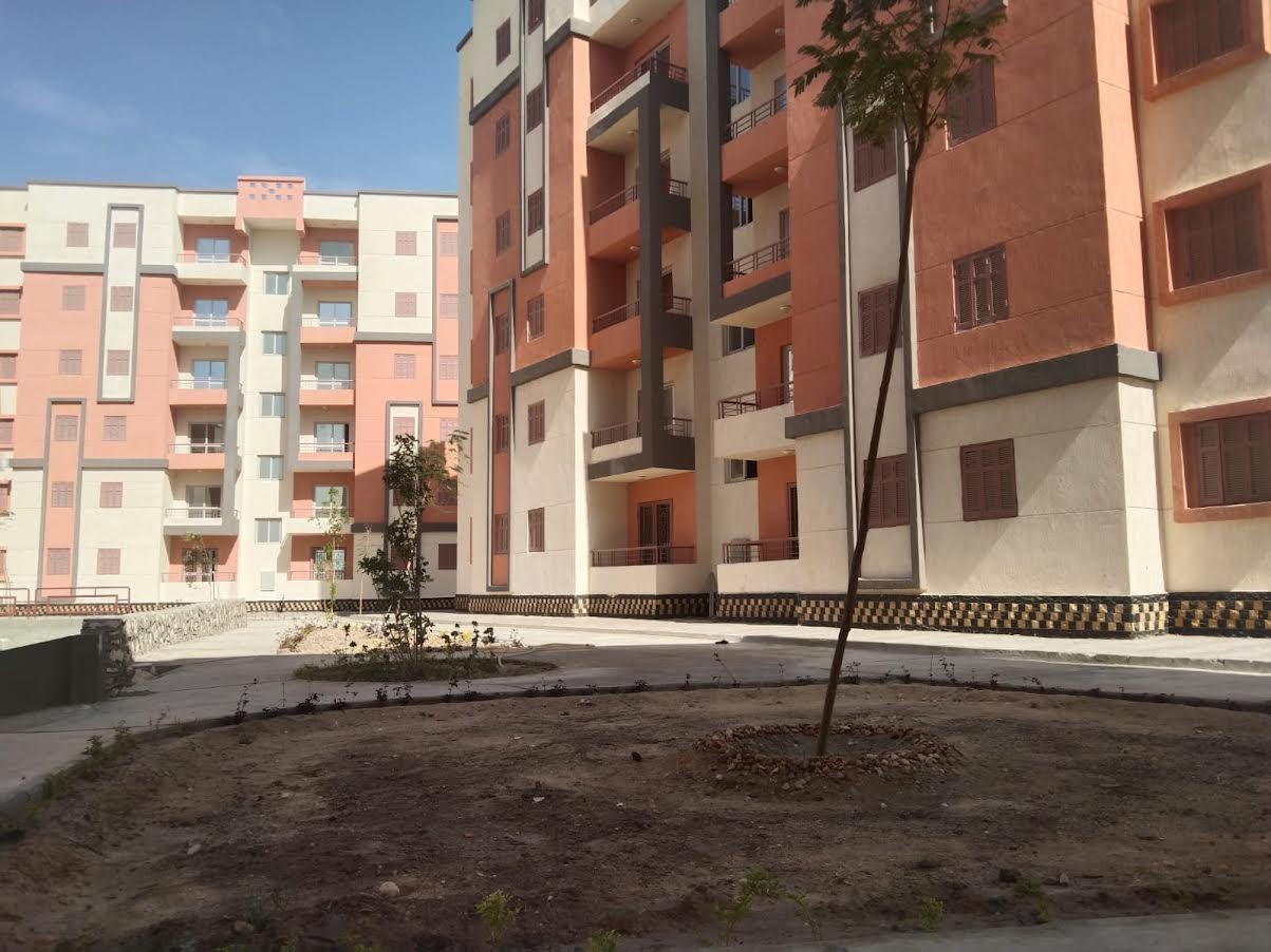 الإسكان: ضخ مياه الشرب بعمارات مشروع زهور مايو كبديل لمنطقة "الزرايب العشوائية سابقاً" الإسكان: ضخ مياه الشرب بعمارات مشروع زهور مايو كبديل لمنطقة "الزرايب العشوائية سابقاً"