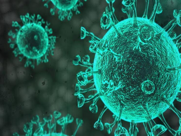 كورونا اليوم: نصيحة من الصحة بشأن أوميكرون.. وعلاقة أمراض الحساسية بانخفاض الإصابة كورونا اليوم: نصيحة من الصحة بشأن أوميكرون.. وعلاقة أمراض الحساسية بانخفاض الإصابة