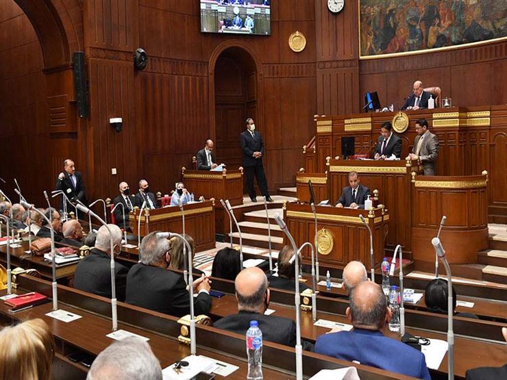 بعد توجيهات الرئيس.. نائبة "التنسيقية" تطالب الحكومة بإجابات واضحة بشأن ريادة الأعمال بعد توجيهات الرئيس.. نائبة "التنسيقية" تطالب الحكومة بإجابات واضحة بشأن ريادة الأعمال