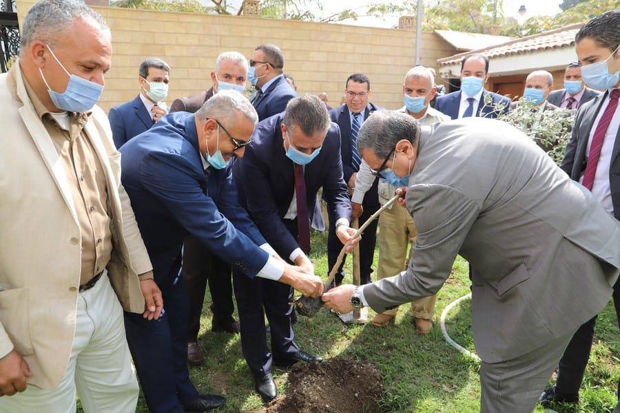 وزير القوى العاملة ومحافظ المنوفية يزرعان 1500 شجرة زيتون 