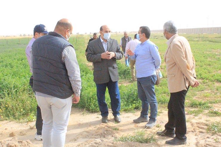 ورش عمل للممارسات الزراعية السليمة بالوادي الجديد