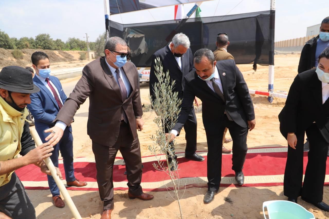 سعفان ومحافظ الشرقية ورئيس جامعة الزقازيق يزرعون أشجار الزيتون 