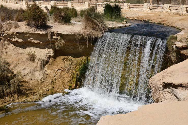 "طاقة النواب" توصي بزيارة محمية قارون ووادي الريان "طاقة النواب" توصي بزيارة محمية قارون ووادي الريان