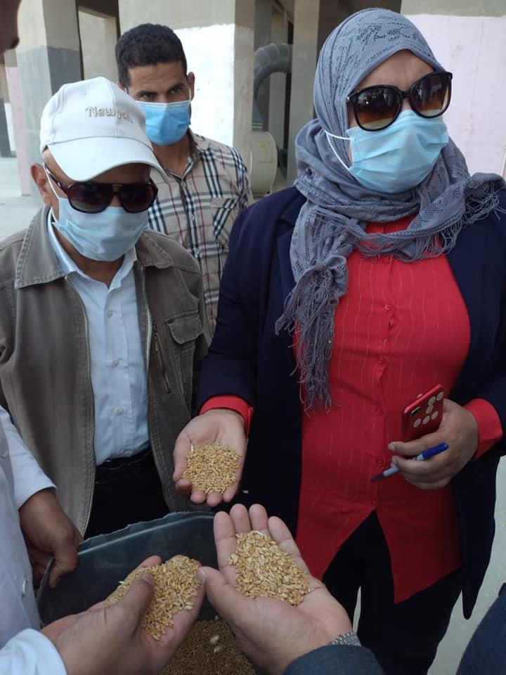 رئيس مدينة طهطا تتفقد عمليات توريد القمح