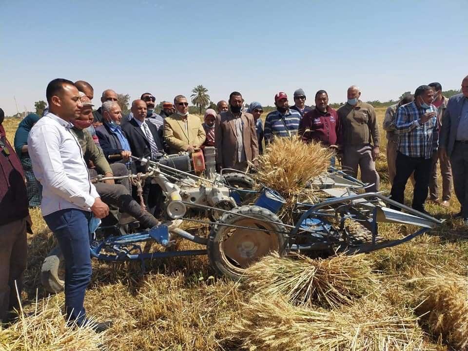 وكيل زراعة الوادي الجديد يشهد  بدء حصاد القمح بواحة الخارجة