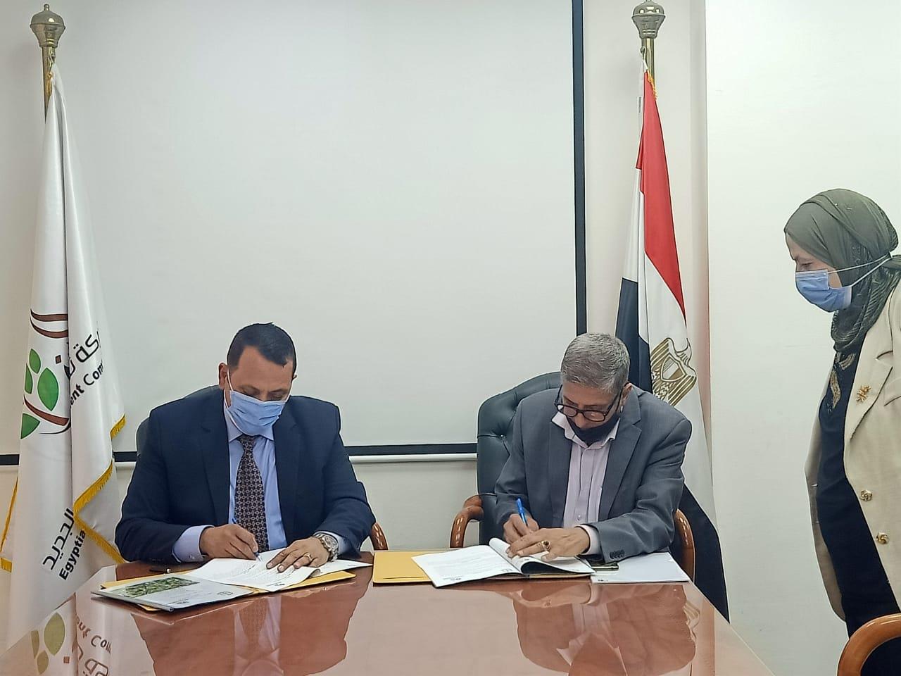 اتفاق بين الريف المصري وبحوث البساتين (2)