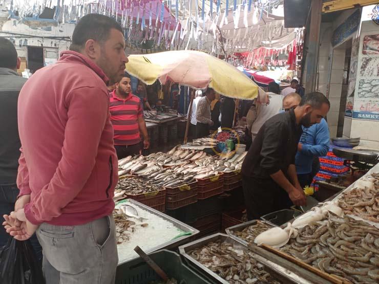 سوق السمك بدمياط