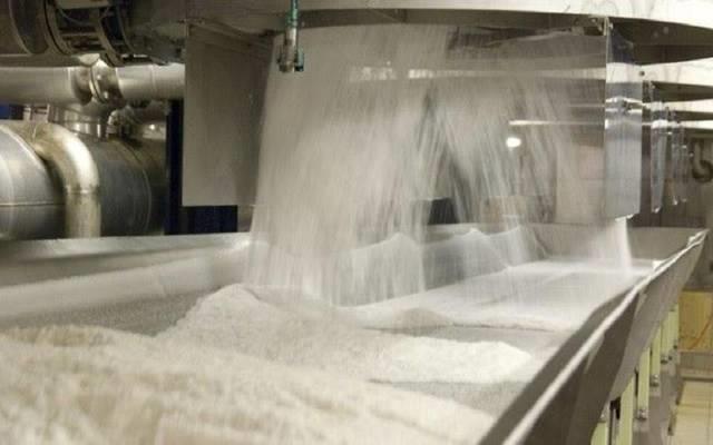 تقرير أمريكي يتوقع ارتفاع إنتاج مصر من السكر في الموسم الجديد