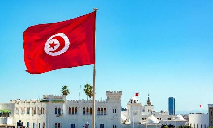 تونس الأولى عالميا في استهلاك الفرد للخبز ولا تنتج سوى قطعة خبز واحدة تونس الأولى عالميا في استهلاك الفرد للخبز ولا تنتج سوى قطعة خبز واحدة