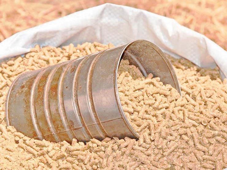 شعبة الدواجن: 450 جنيهًا ارتفاعًا في أسعار الأعلاف بالأسواق شعبة الدواجن: 450 جنيهًا ارتفاعًا في أسعار الأعلاف بالأسواق
