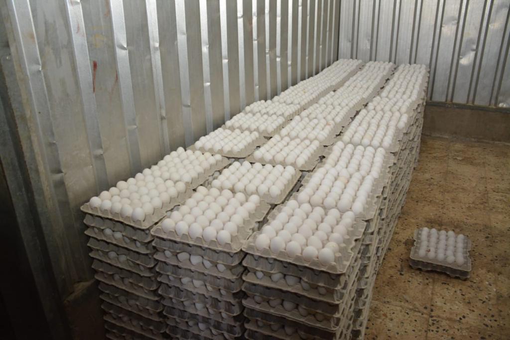وزير التنمية المحلية يتفقد مشروع إنتاج الـ30 مليون بيضة