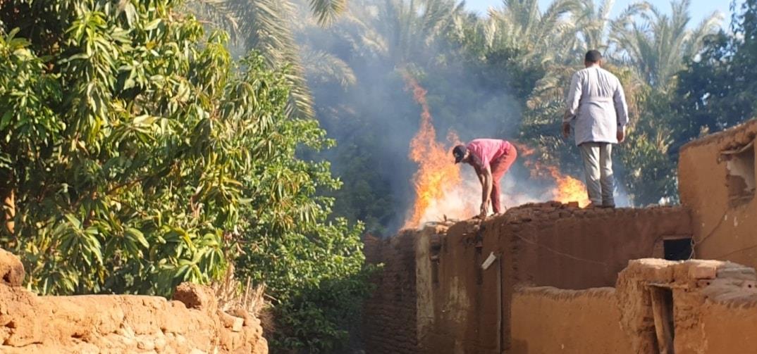 حريق في مزرعة نخيل بقرية الجديدة بمركز الداخلة في الوادي الجديد  (4)