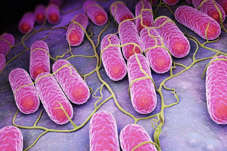 بكتيريااكتشاف بكتيريا في ووهان الصينية تسبب مرضا خطيرا
