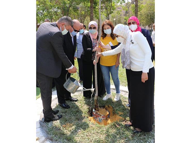 محافظ القاهرة يشهد غرس شجرة نادرة بحديقة الطفل 