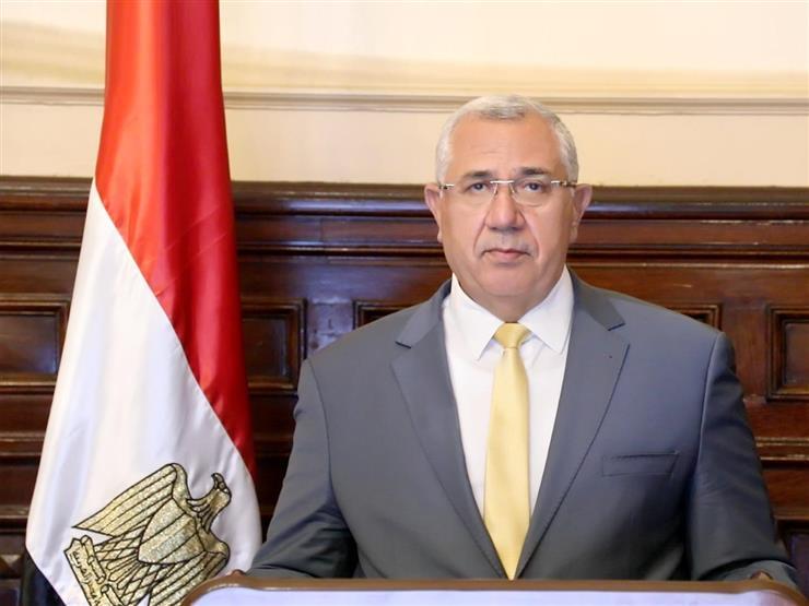 الزراعة: تحصين 3.4 مليون رأس ماشية ضد الحمى القلاعية و"الوادي المتصدع" الزراعة: تحصين 3.4 مليون رأس ماشية ضد الحمى القلاعية و"الوادي المتصدع"