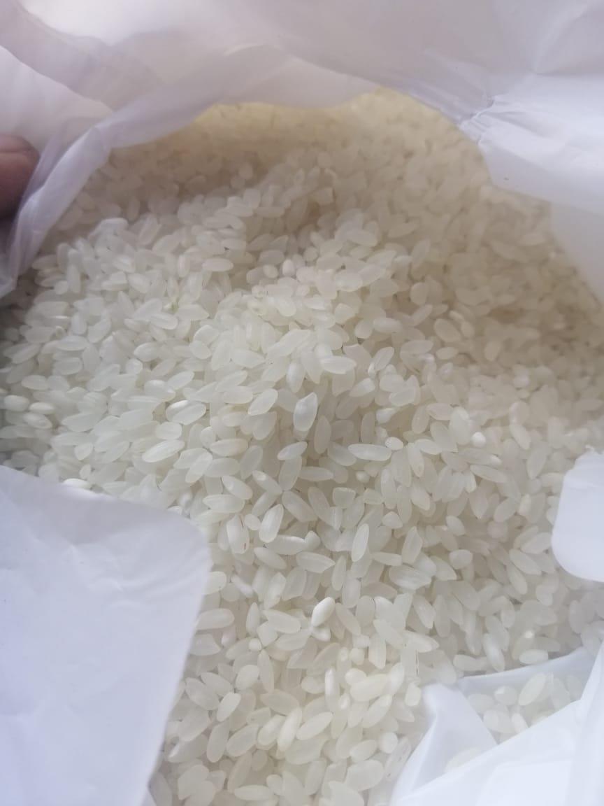 ديدان الأرز المدعم