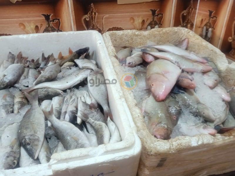 انخفاض سعر الجمبري وسمك المكرونة في سوق العبور اليوم الثلاثاء
