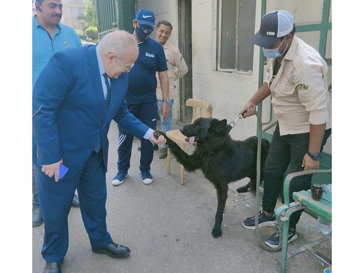 رئيس جامعة القاهرة يصافح كلبا أمام مدينة الطلاب