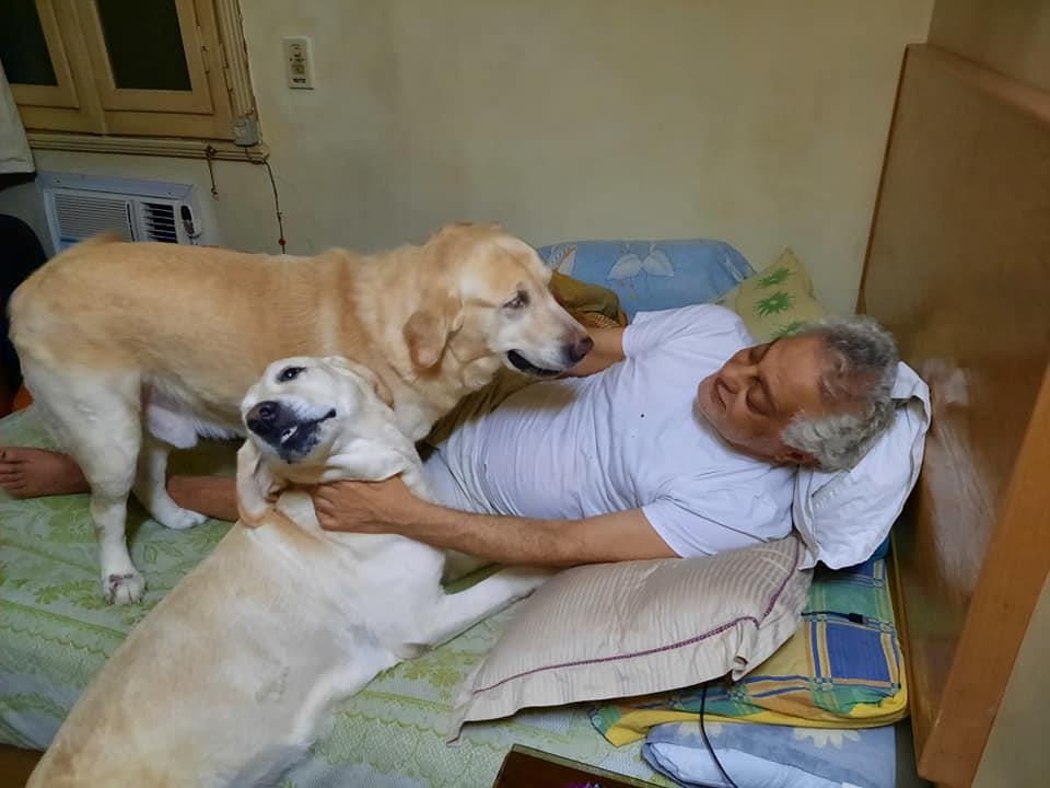 توفيق عبد الحميد مع كلابه 2