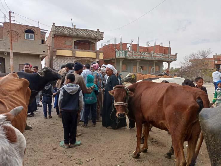 قافلة بيطرية