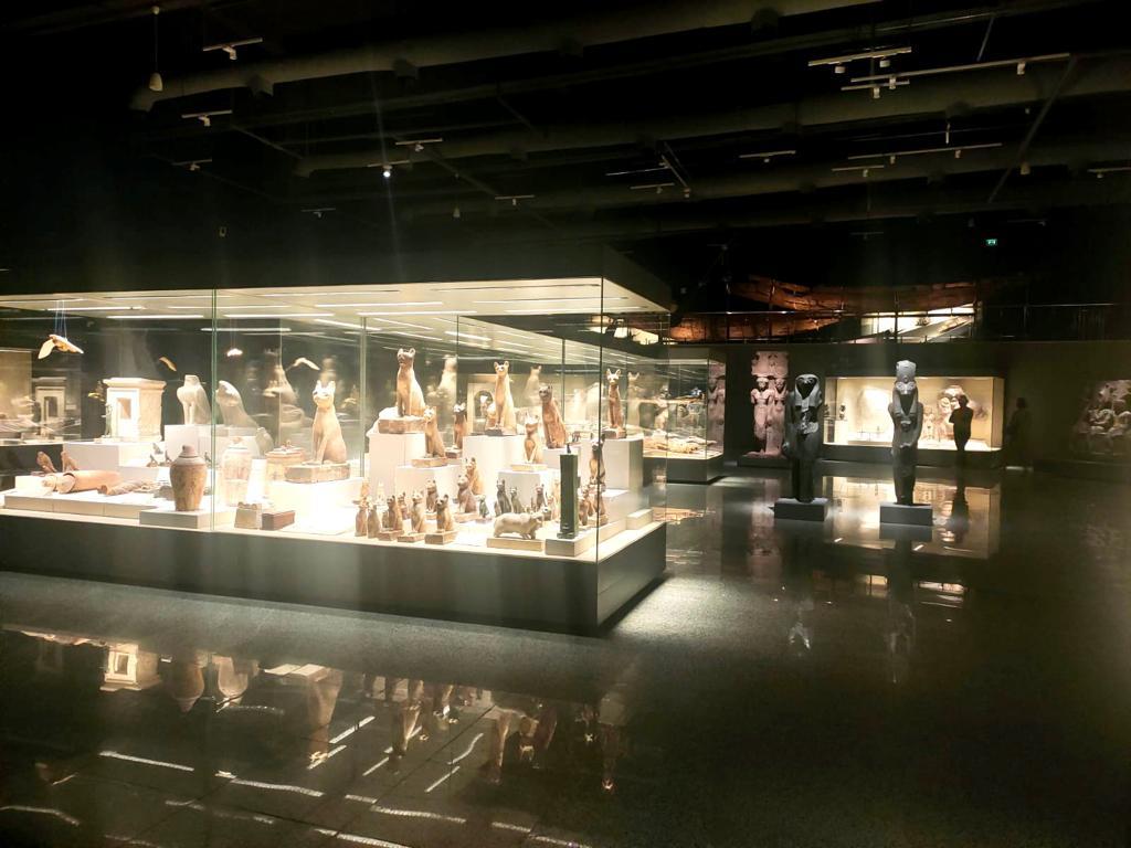 غرق متحفي شرم الشيخ والغردقة