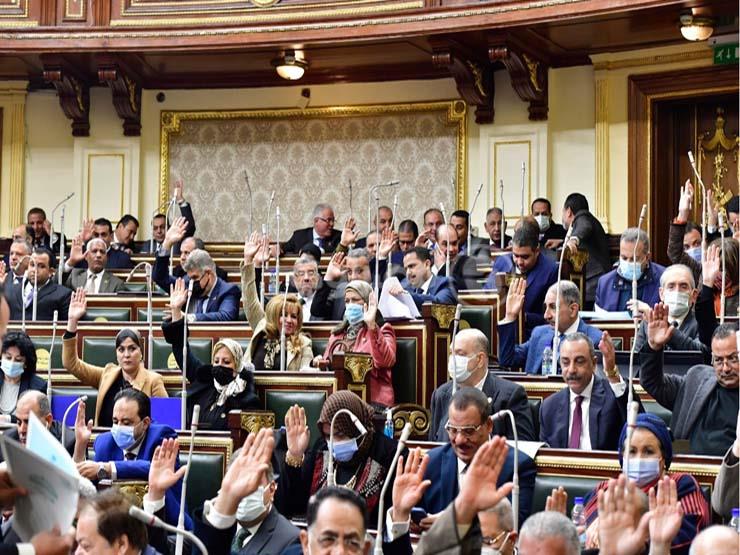 برلماني: الزيادة السكانية عقبة تُعطل مسار التنمية برلماني: الزيادة السكانية عقبة تُعطل مسار التنمية