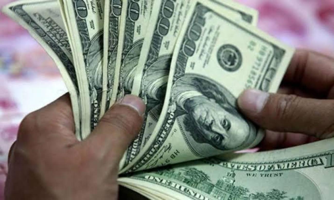 حصيلة قياسية من الدولار.. الأهلي للصرافة تجمع 2.5 مليار جنيه في شهر حصيلة قياسية من الدولار.. الأهلي للصرافة تجمع 2.5 مليار جنيه في شهر