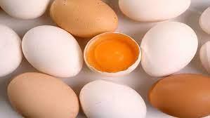 بيض الدجاج                                                                                                                                                                                              
