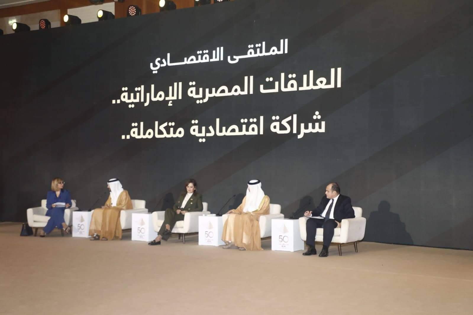 جلسة العلاقات المصرية الإماراتية