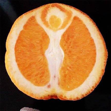 البرتقالة الراقصة