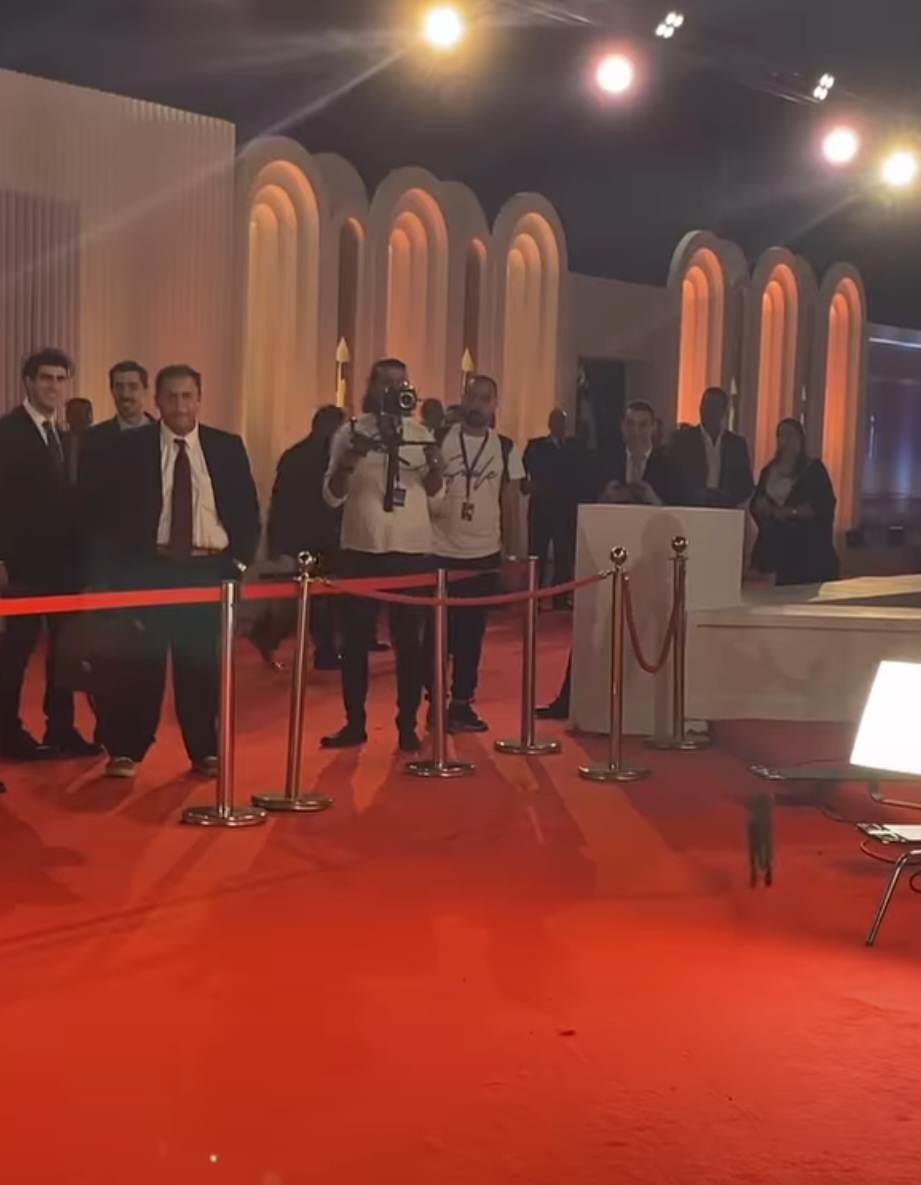 قطة صغير في مهرجان القاهرة السينمائي