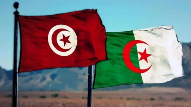 الجزائر وتونس تؤكدان على توافق رؤى ومواقف البلدين حول التهديدات المشتركة