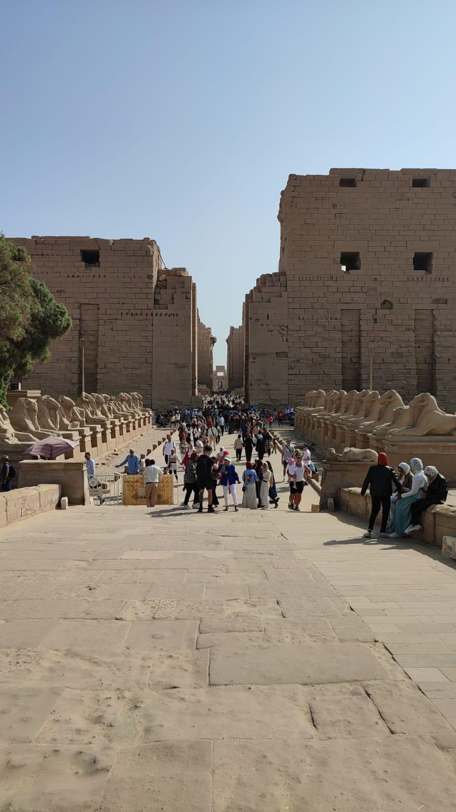 طريق الكباش الفرعوني