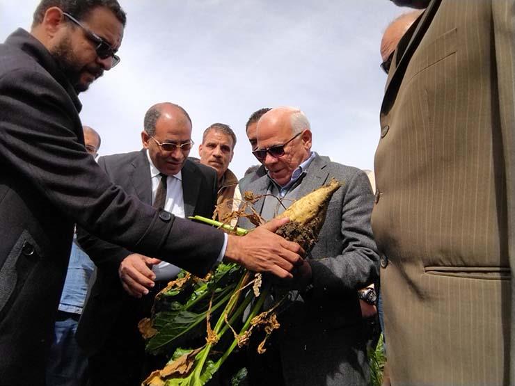 محافظ بورسعيد يشهد حصاد محصول بنجر السكر 