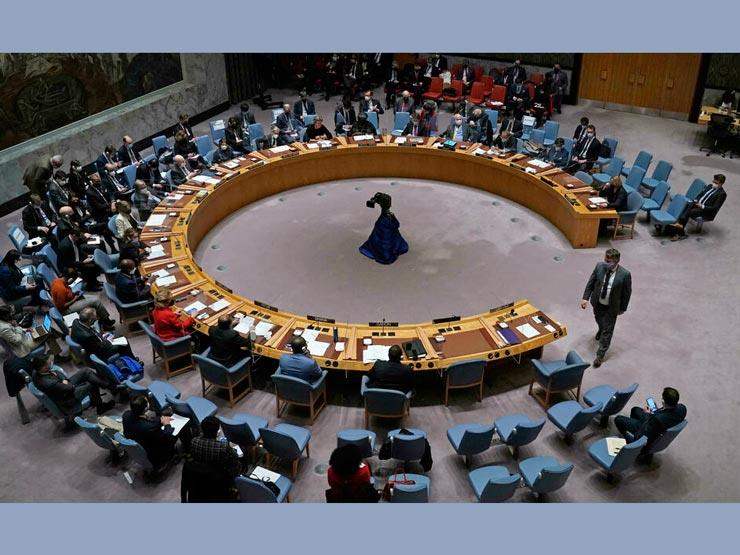 مجلس الأمن الدولي يمدد آلية المساعدات للسوريين لمدة 6 أشهر