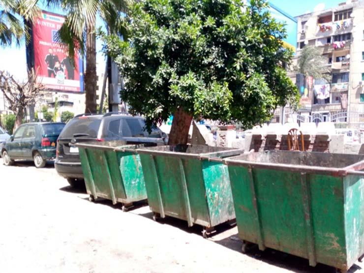 رفع القمامة من شوارع الإسكندرية (1)