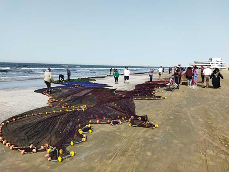 صيادو بورسعيد يجمعون الأسماك