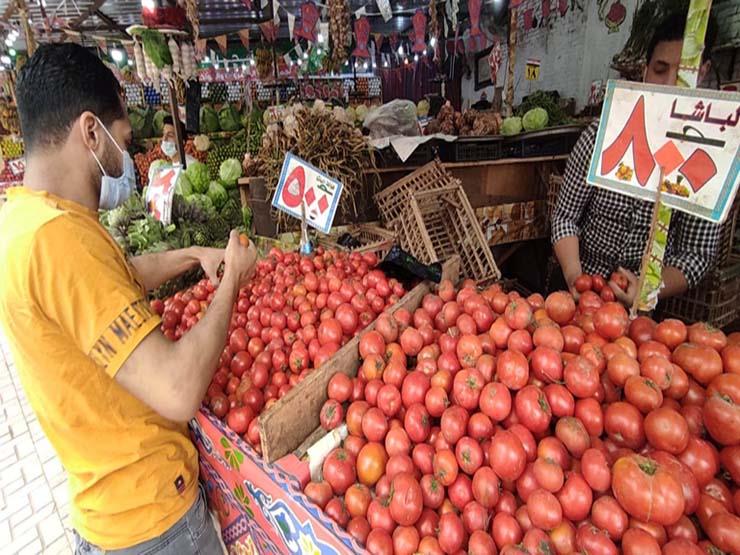 جولة محافظ البحيرة