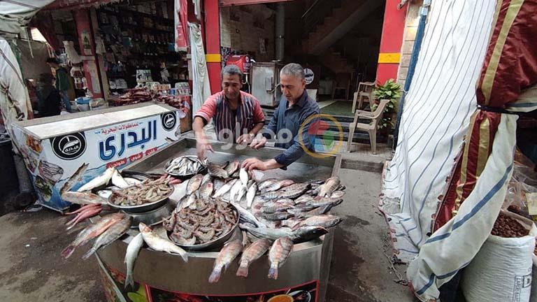  مطعم للأسماك في مدينة دمنهور يطلق وجبة اقتصادية 